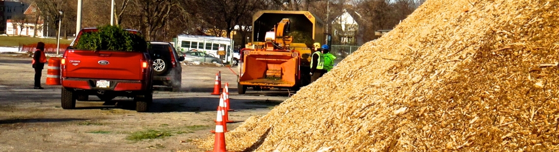 Mulchfest Success Mulchfest Success