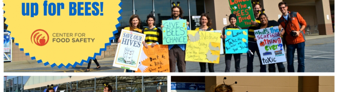 Lowes Agrees To Phase Out Bee-Toxic Neonicotinoids Lowes Agrees To Phase Out Bee-Toxic Neonicotinoids